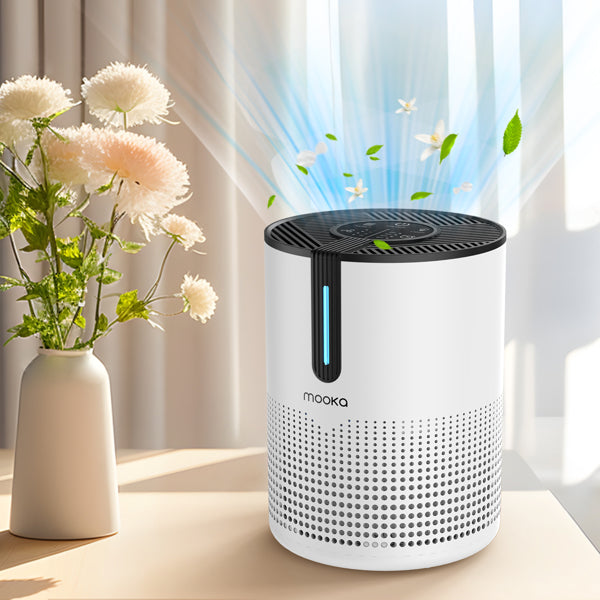HEPA air purifier