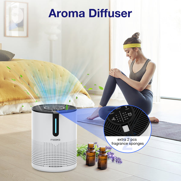 Air purifier filter