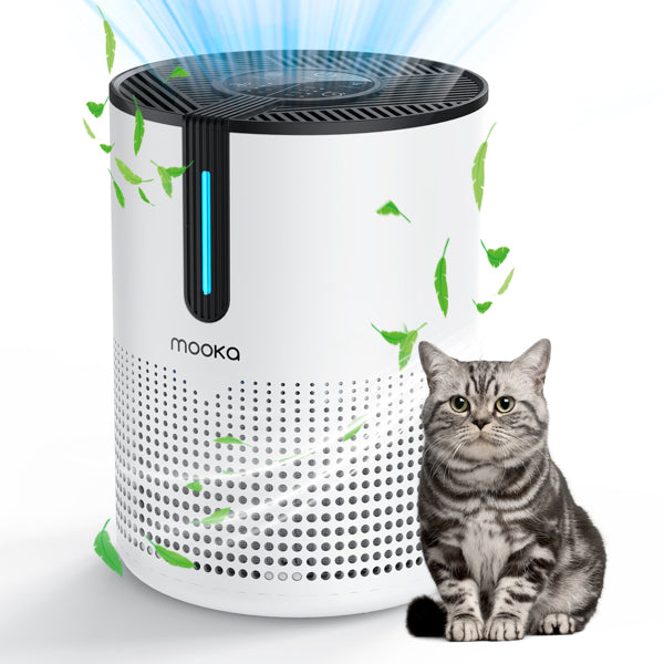 Air purifier controls