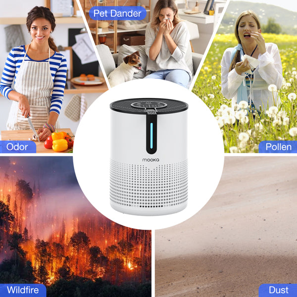 Air purifier features